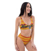 HTX Baseball Rainbow High-Waisted Bikini