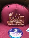 Houston Train Hat