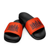 Diverscity Clothing Co. Men’s slides