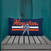 HTX Baseball Premium Pillow