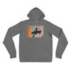 Houston Cowboys Unisex hoodie