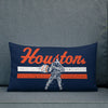 HTX Baseball Premium Pillow