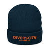 Diverscity Ribbed Knit Beanie